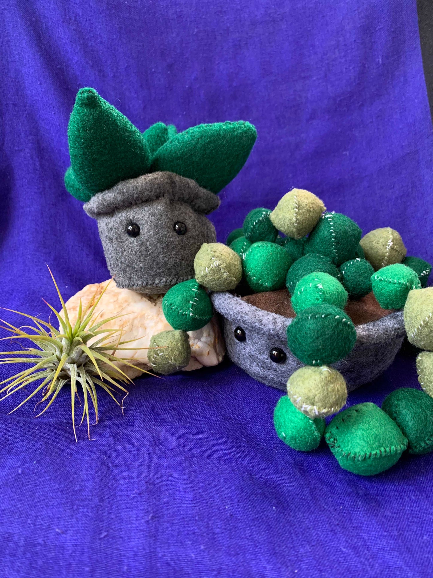 Felt Succulent Frand Plushies