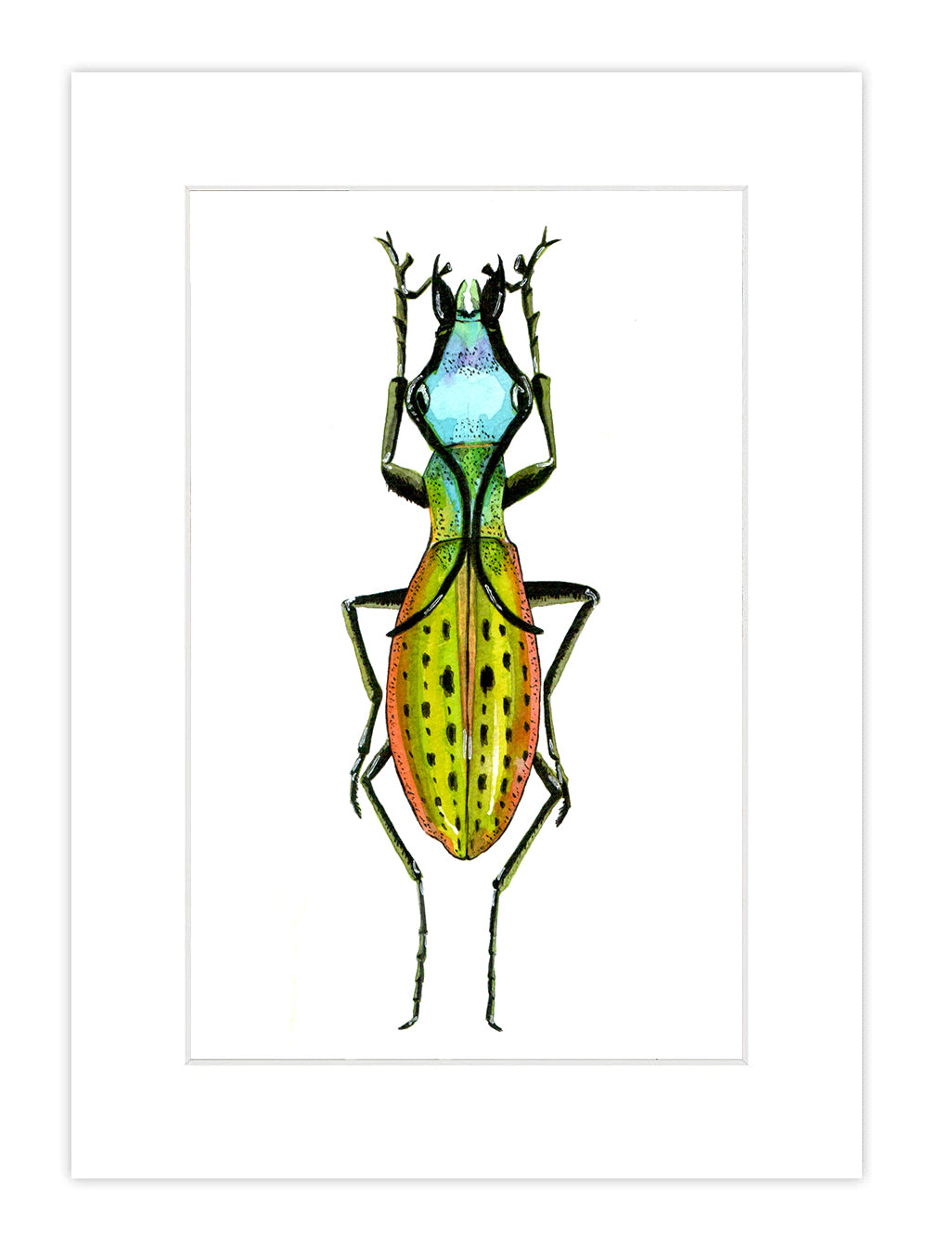 Watercolor Bug Print 5