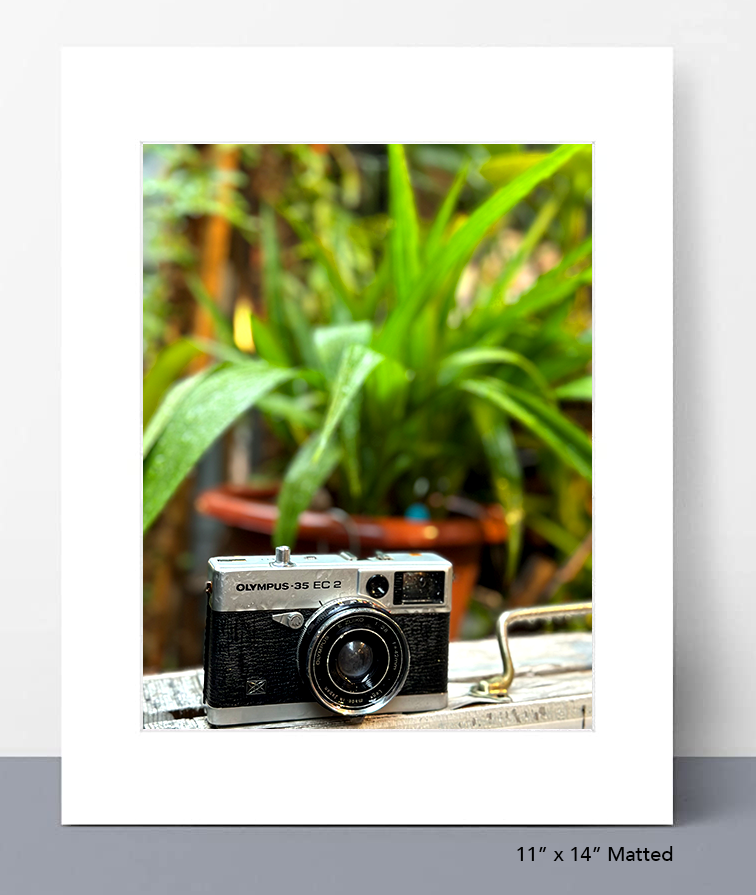 Rainy Day Snapshot Photo Print
