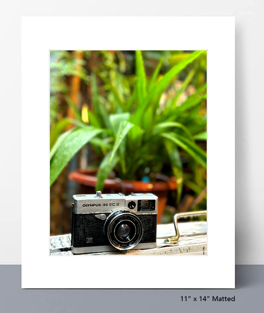 Rainy Day Snapshot Photo Print