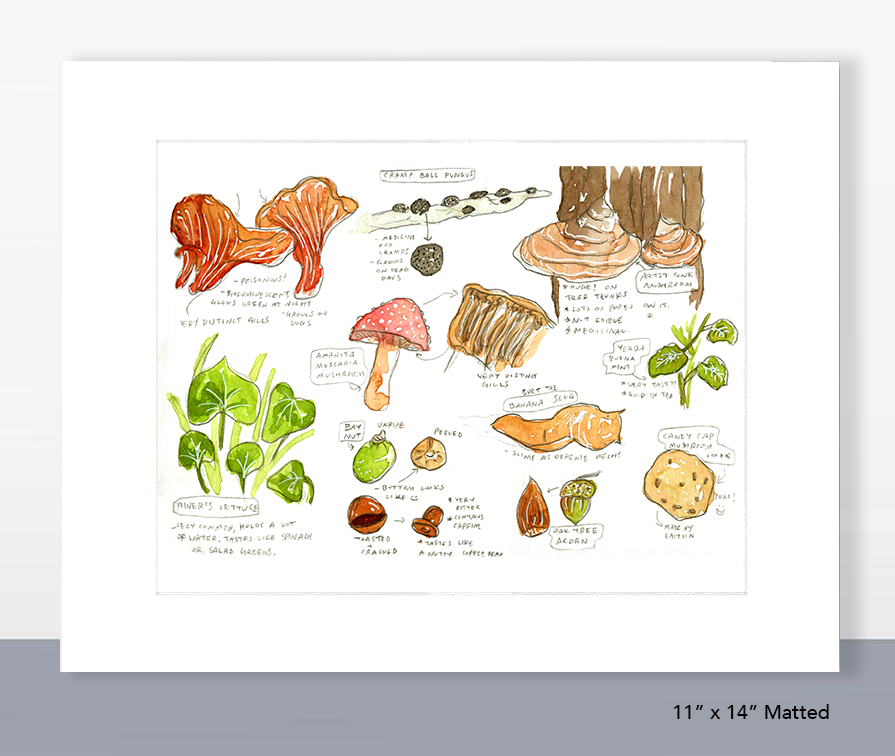 Santa Cruz Foraging (Set of 2)