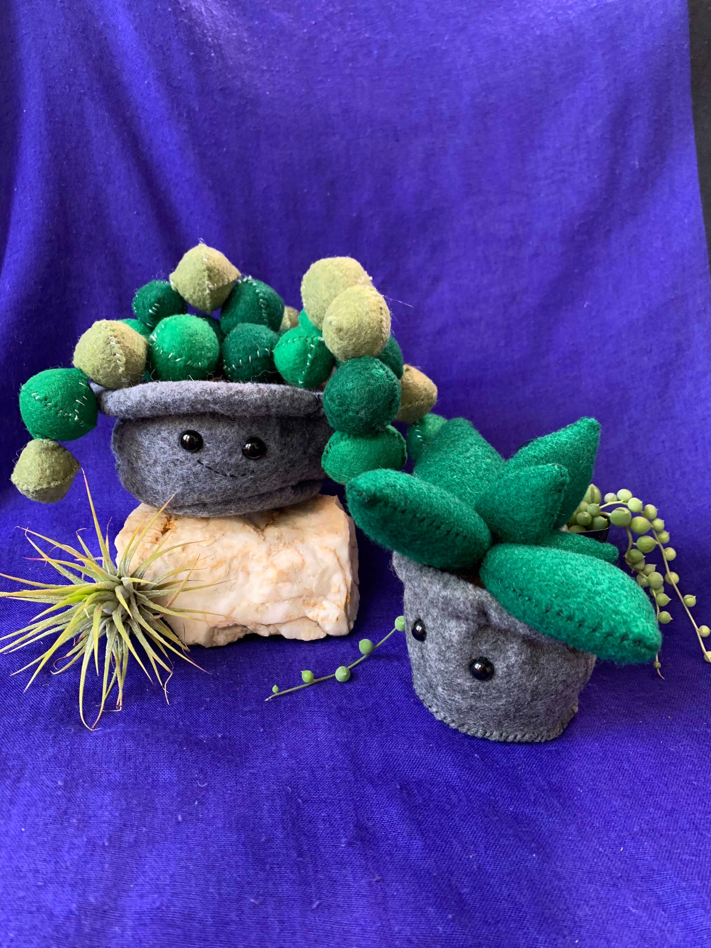 Felt Succulent Frand Plushies