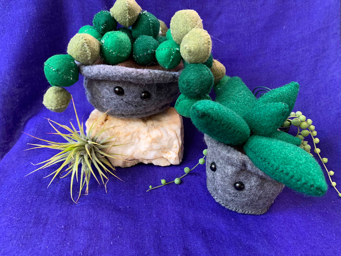 Felt Succulent Frand Plushies