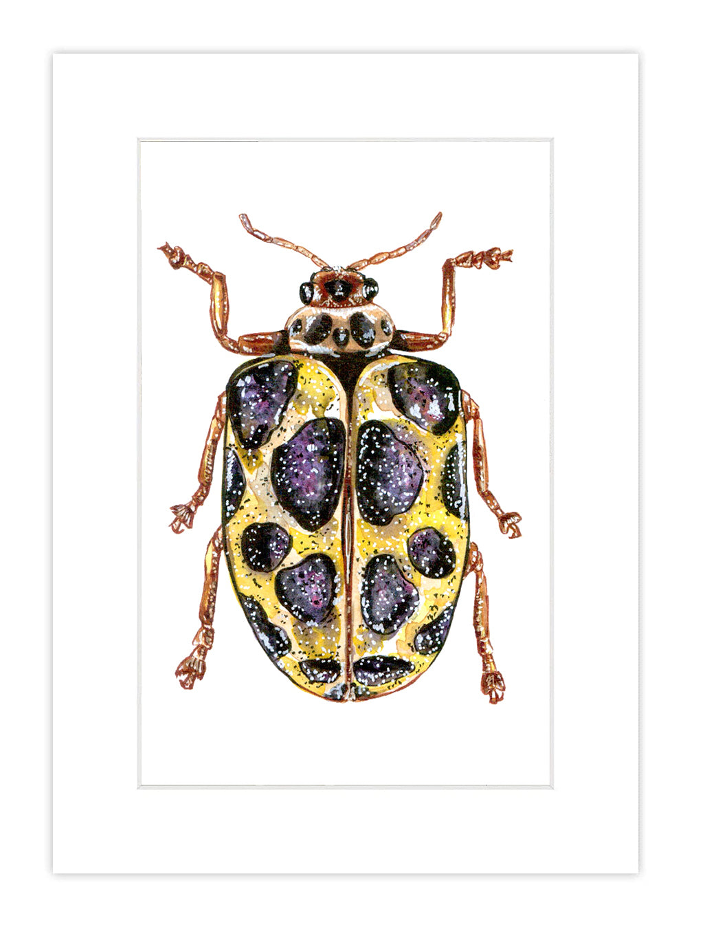 Watercolor Bug Print 1