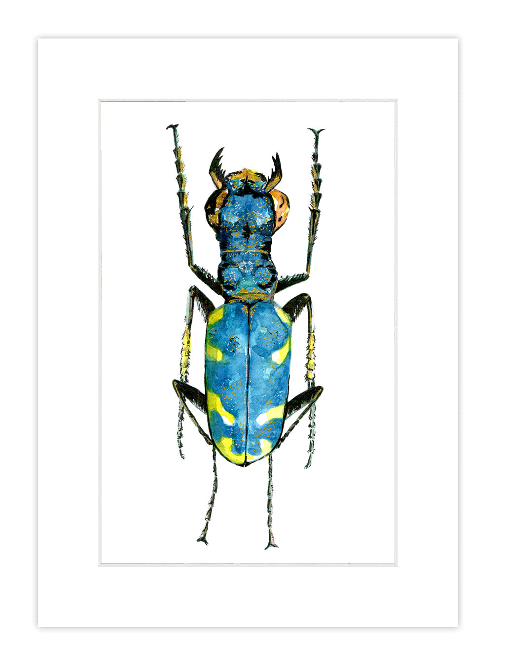 Watercolor Bug Print 2