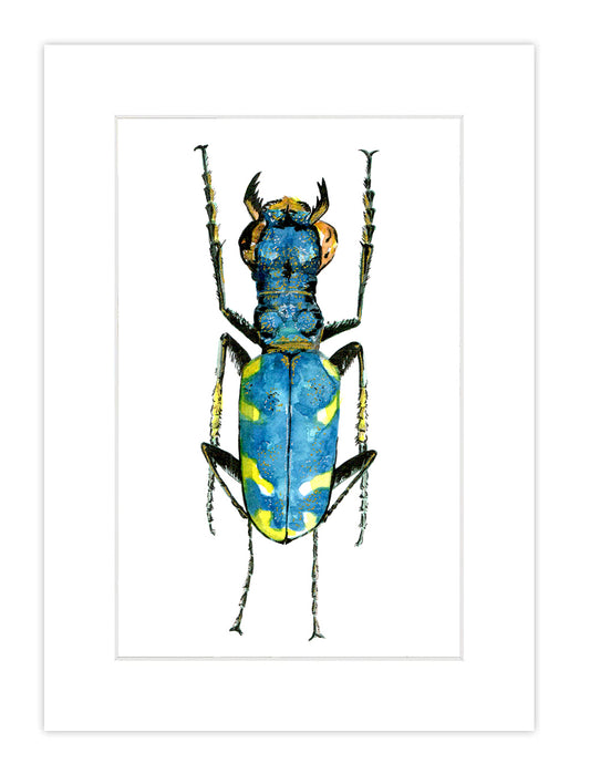 Watercolor Bug Print 2