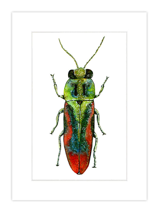Watercolor Bug Print 6