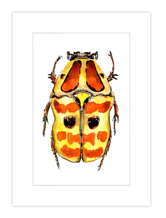 Watercolor Bug Print 7