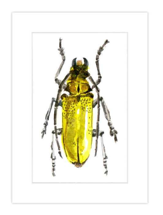 Watercolor Bug Print 8
